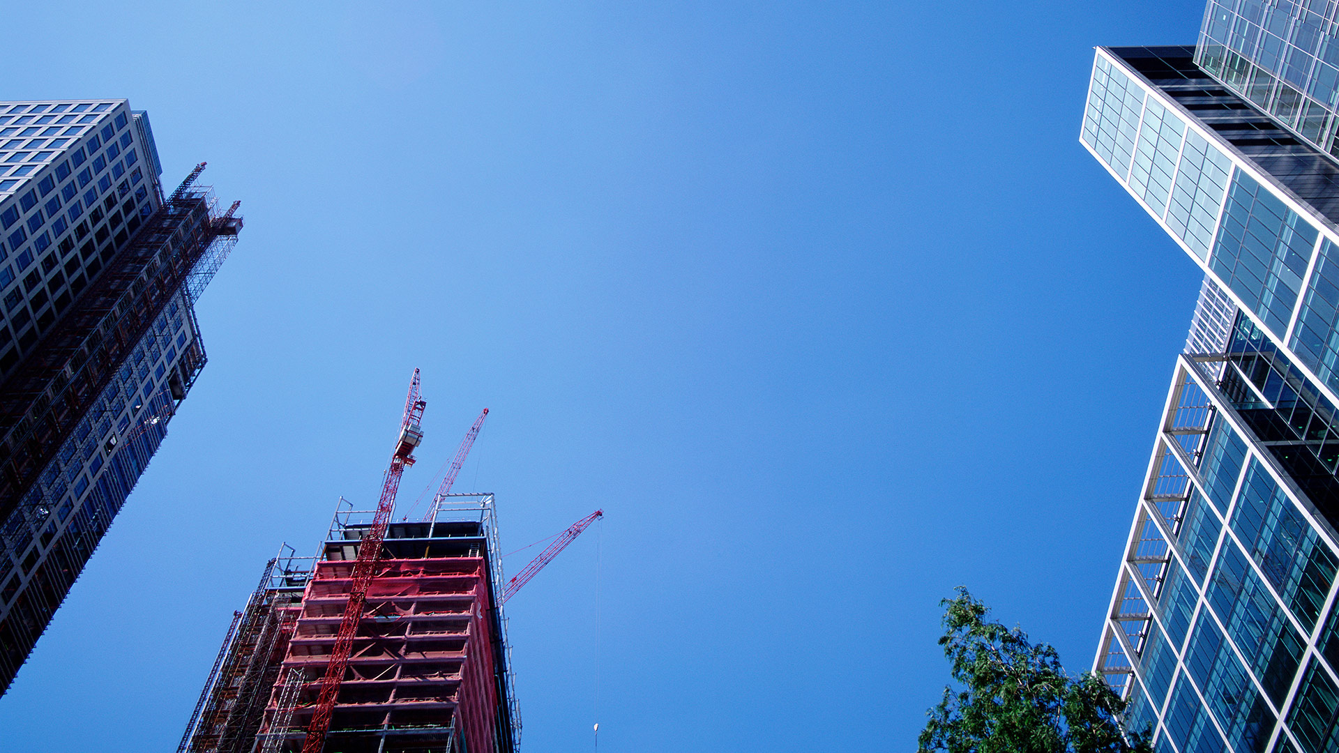 以質(zhì)量求生存，以信譽(yù)求發(fā)展